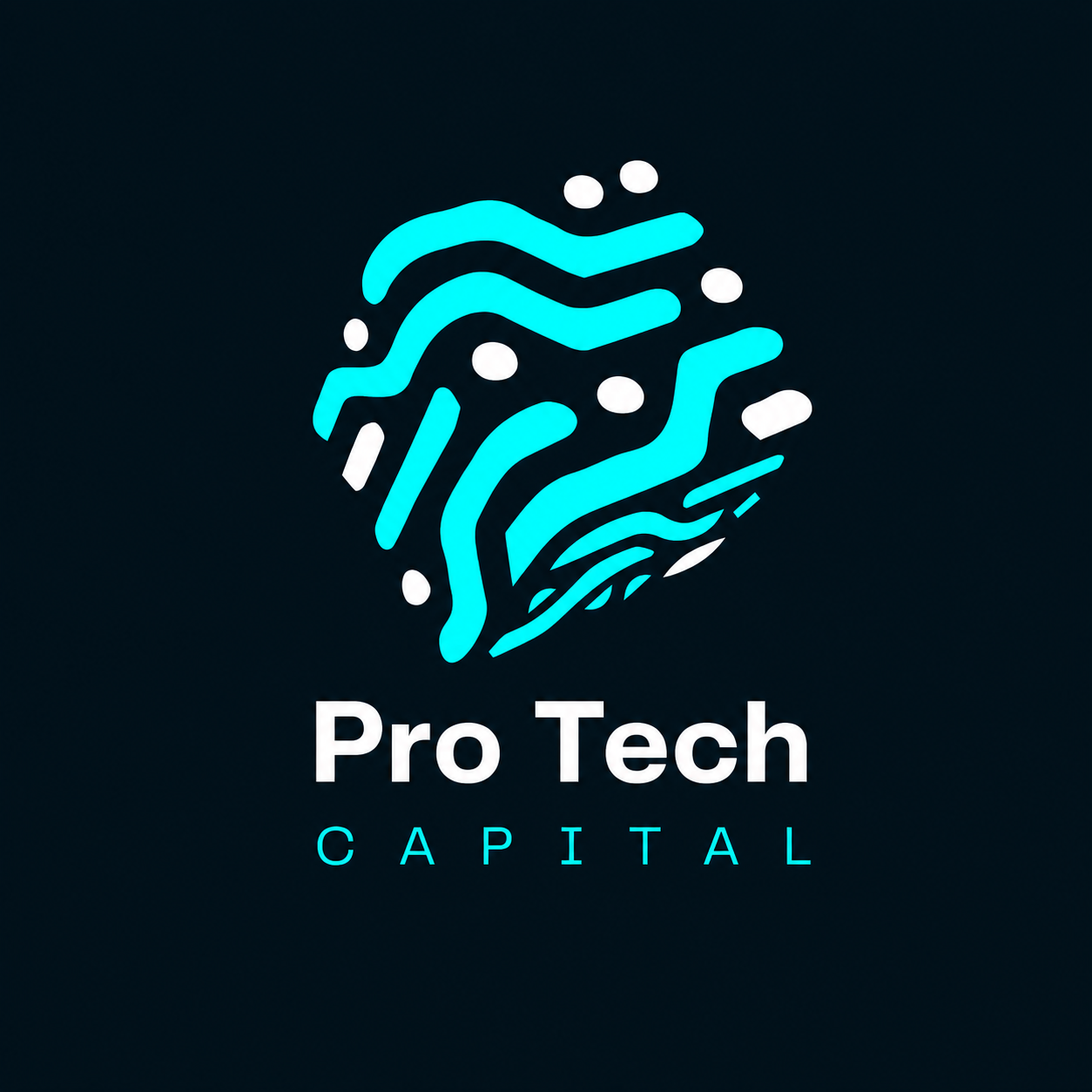 Logo de ProTech Capital